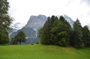 Top Grindelwald