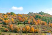 Top Szczawnica