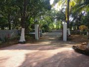 Top Alibaug