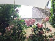 Top Suze-la-Rousse Top Suze-la-Rousse