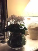 Top Suze-la-Rousse Top Suze-la-Rousse