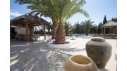 Top Ibiza Town