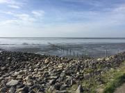 Top Sankt Peter-Ording