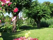 Top Évian-les-Bains