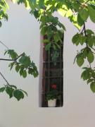 Top Fertőboz Top Fertőboz