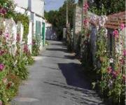 Top Saint-Denis-dʼOléron