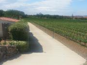 Top Narbonne