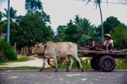 Top Siem Reap