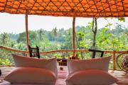 Top Ubud