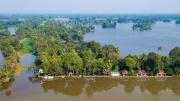 Top Alleppey