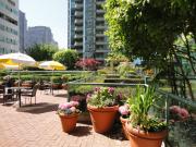 Top Vancouver