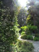 Top Cavour