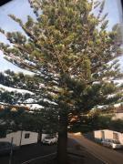 Top Santa Cruz da Graciosa