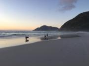 Top Noordhoek
