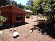 Top Molina Top Molina