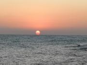 Top Pesaro