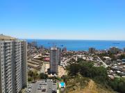 Top Viña del Mar