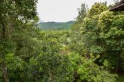 Top Thekkady