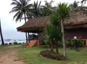 Top Ko Tao