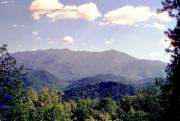 Top Pigeon Forge