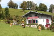 Top Schladming Top Schladming