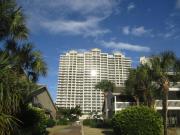 Top Destin