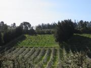 Modderkloof Farm Accommodation