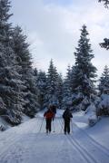 Top Altenau