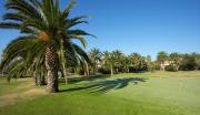 Top Grimaud