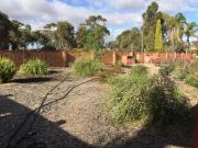 Top Kadina