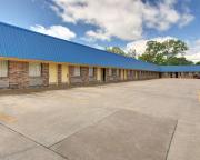 Top Gainesville