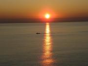 Top Forio di Ischia