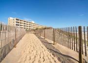 Top Ocean City