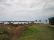 Top Dampier