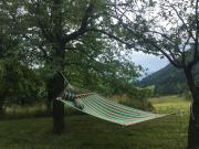 Top Podvrh