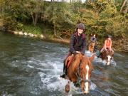 Top Lorp Sentaraille