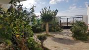 Top Zahara de los Atunes