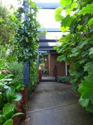 Top Mount Barker