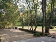 Top Beauraing