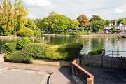Top Windsor