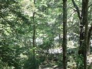 Top Curarrehue Top Curarrehue