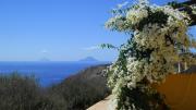 Country Houses Monte delle Cristule