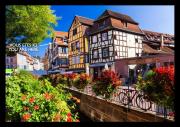 Top Colmar