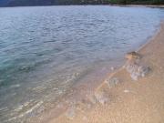 Top Cres