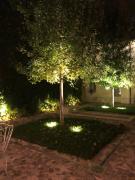 Top Ravenna