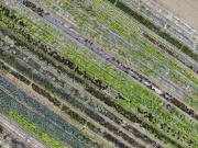 Ca Vascon Alloggio Agrituristico