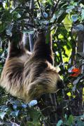 Top Monteverde