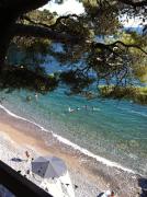 Top Lerici