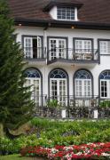 Top Cameron Highlands