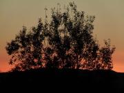 Top Kużmina Top Kużmina